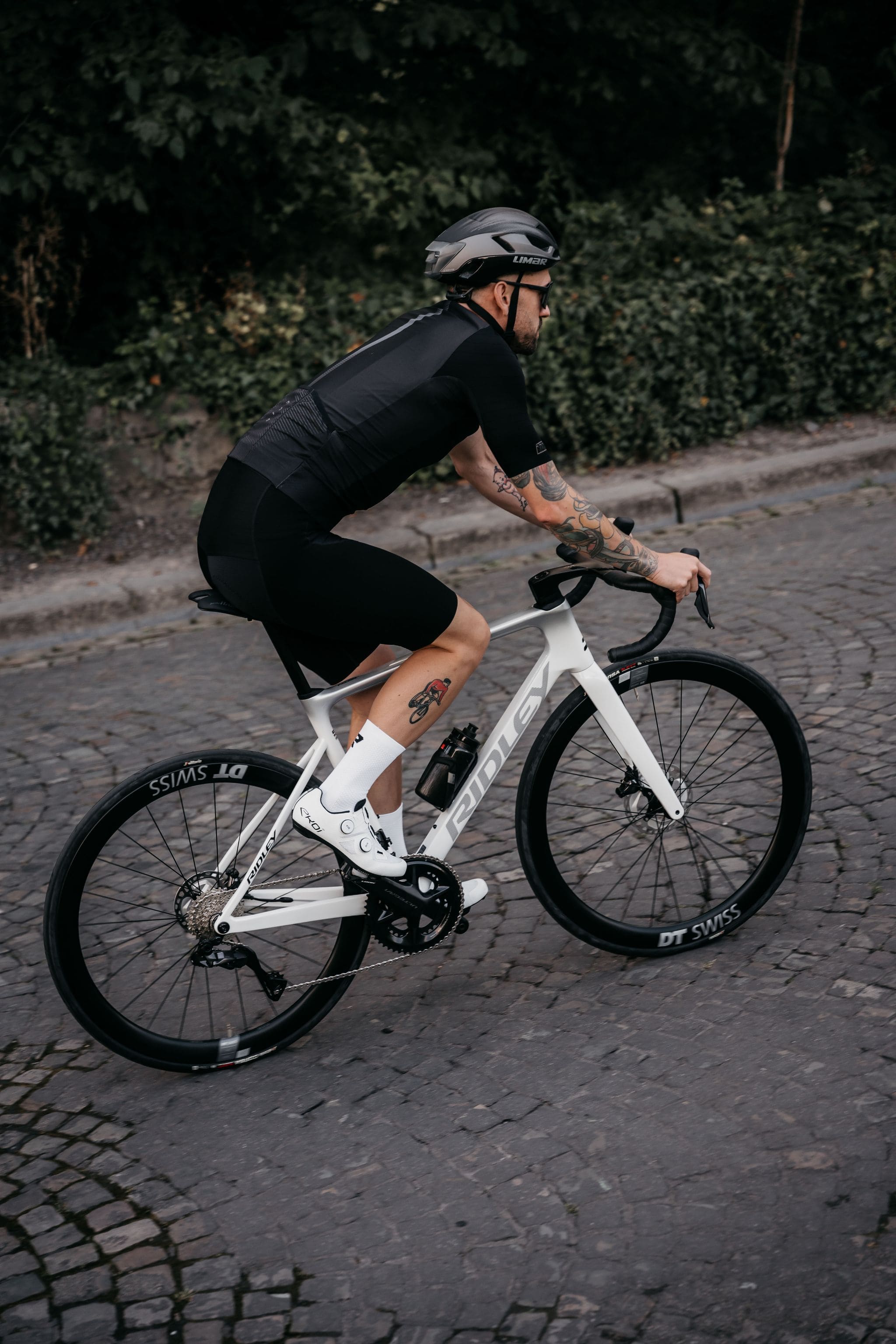 Cuadros/Bicicletas