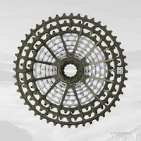 Cassette 12S 48T10 (MTB/Gravel)
