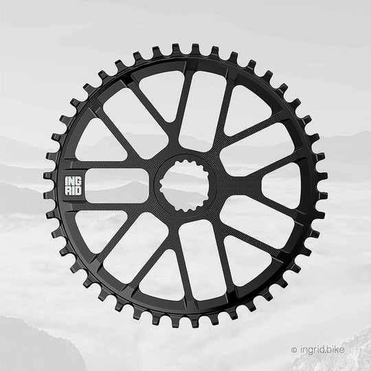 Ingrid: Chainring (corona)