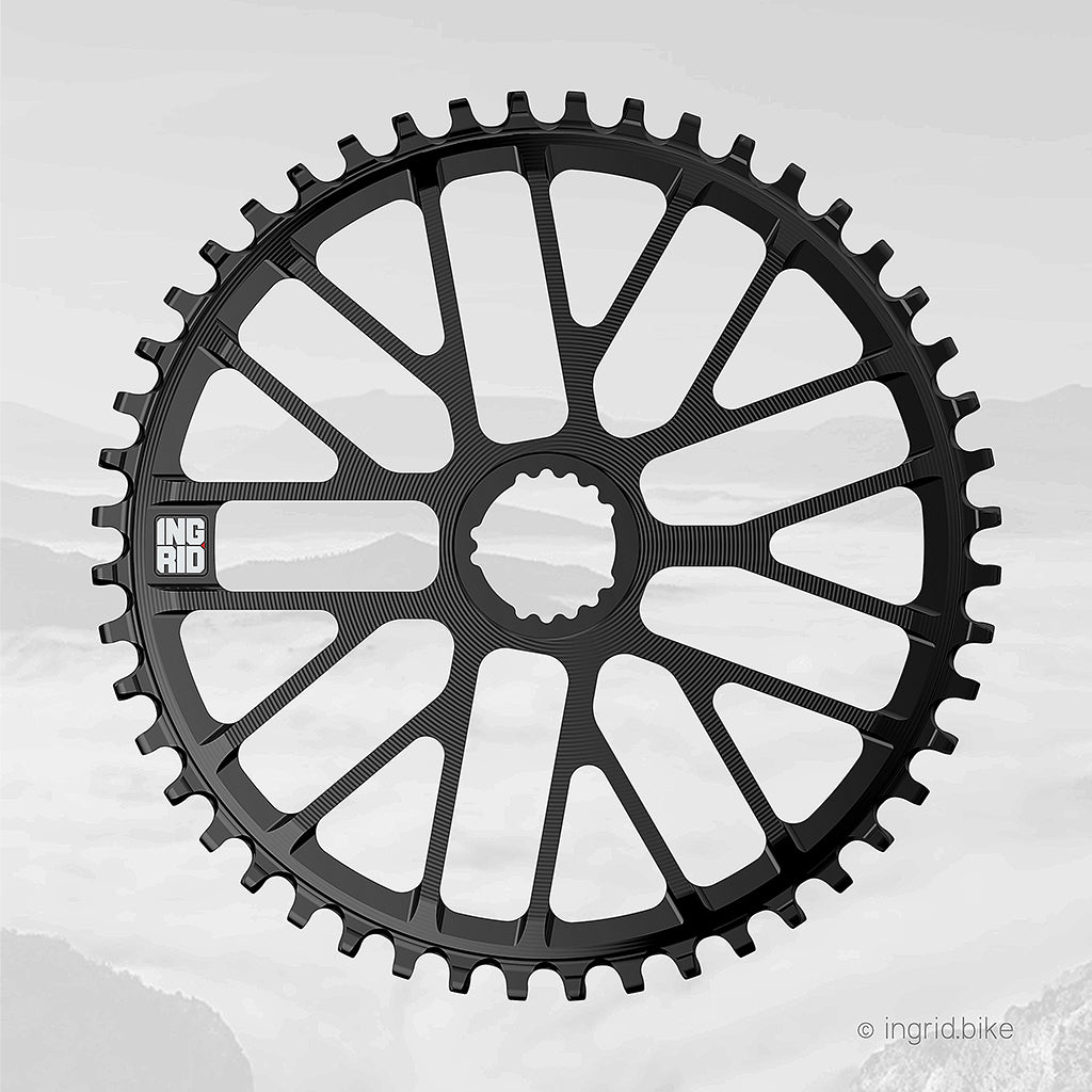 Ingrid: Chainring (corona) 48t