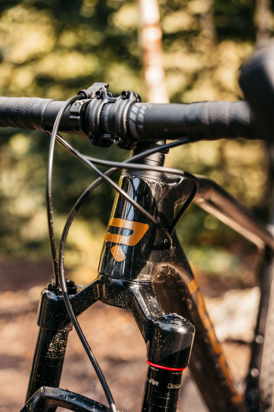 Ridley Ignite GTX (negro)