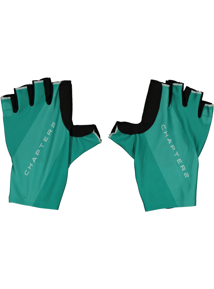 Guantes Chapter2 Team